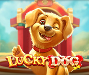 Lucky Dog Lucky Dog